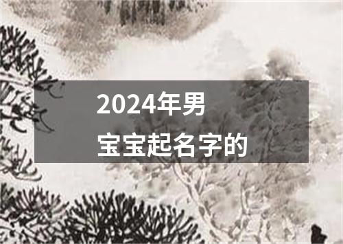 2024年男宝宝起名字的