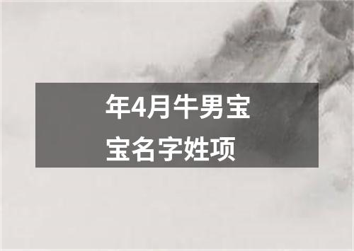 年4月牛男宝宝名字姓项