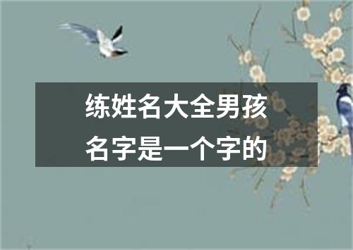 练姓名大全男孩名字是一个字的