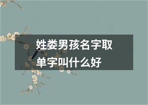 姓娄男孩名字取单字叫什么好