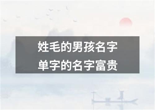 姓毛的男孩名字单字的名字富贵