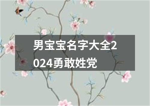 男宝宝名字大全2024勇敢姓党