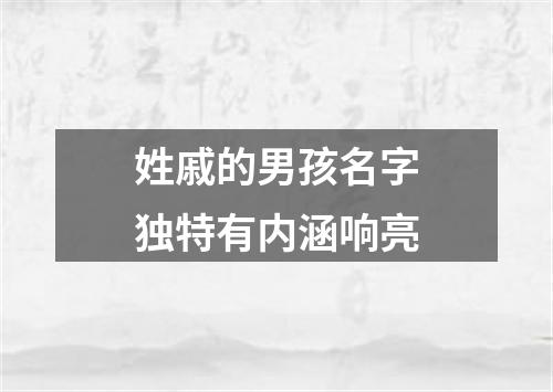 姓戚的男孩名字独特有内涵响亮