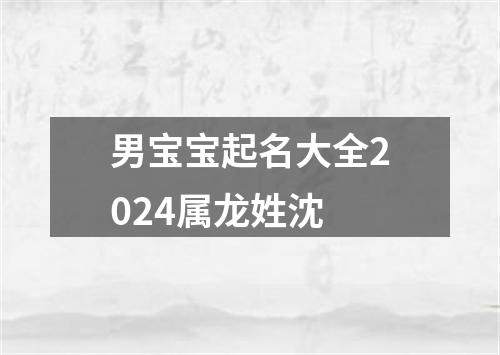 男宝宝起名大全2024属龙姓沈