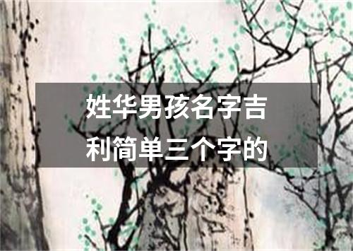 姓华男孩名字吉利简单三个字的