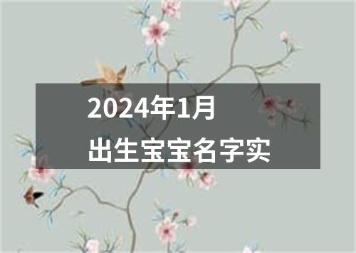 2024年1月出生宝宝名字实