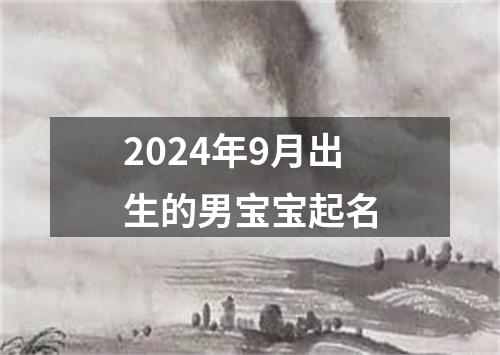 2024年9月出生的男宝宝起名