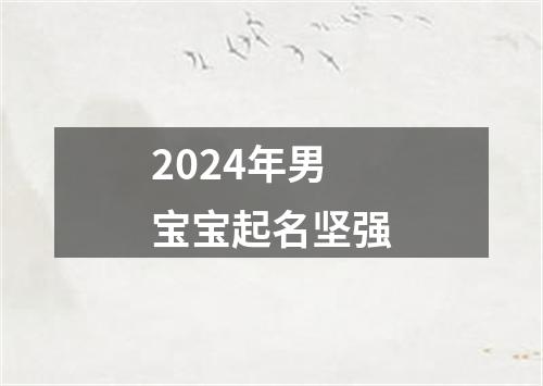 2024年男宝宝起名坚强