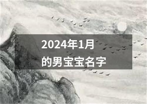 2024年1月的男宝宝名字