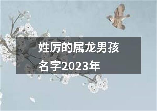 姓厉的属龙男孩名字2023年