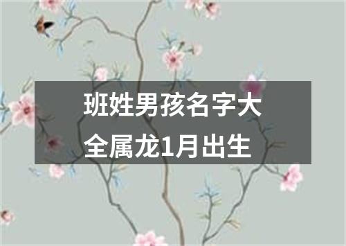 班姓男孩名字大全属龙1月出生