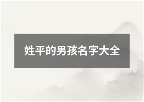 姓平的男孩名字大全