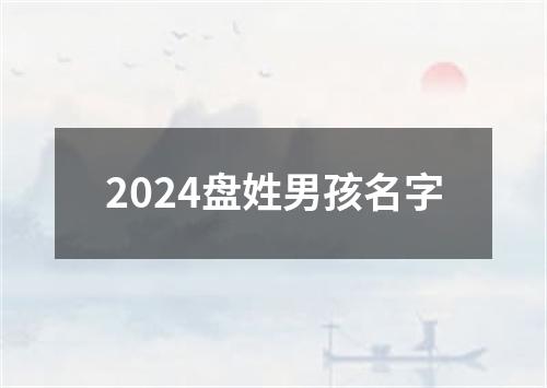 2024盘姓男孩名字