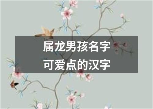 属龙男孩名字可爱点的汉字