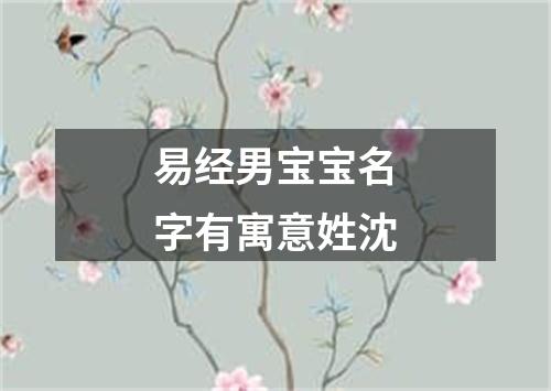 易经男宝宝名字有寓意姓沈