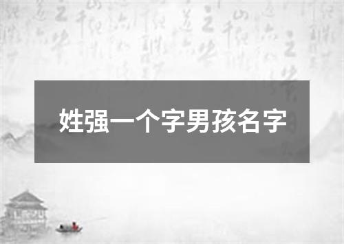 姓强一个字男孩名字