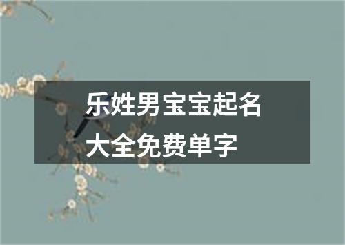 乐姓男宝宝起名大全免费单字