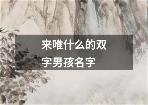 来唯什么的双字男孩名字