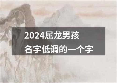 2024属龙男孩名字低调的一个字