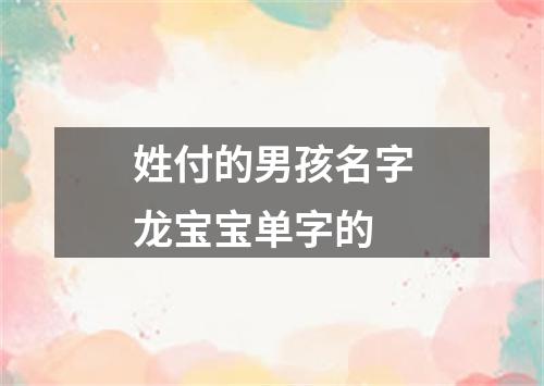 姓付的男孩名字龙宝宝单字的