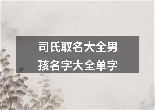 司氏取名大全男孩名字大全单字