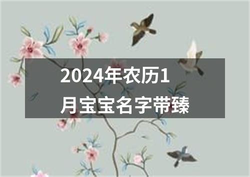 2024年农历1月宝宝名字带臻