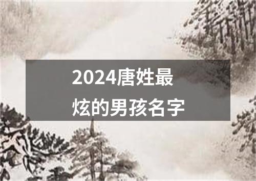 2024唐姓最炫的男孩名字