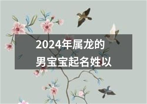 2024年属龙的男宝宝起名姓以