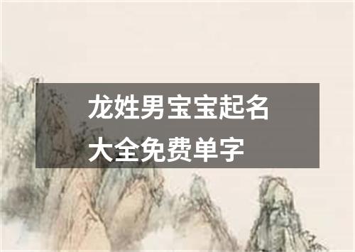 龙姓男宝宝起名大全免费单字