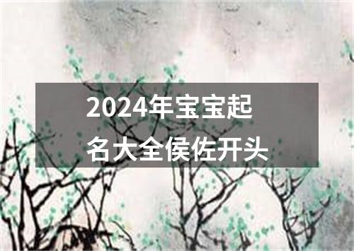 2024年宝宝起名大全侯佐开头