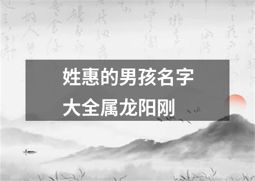 姓惠的男孩名字大全属龙阳刚