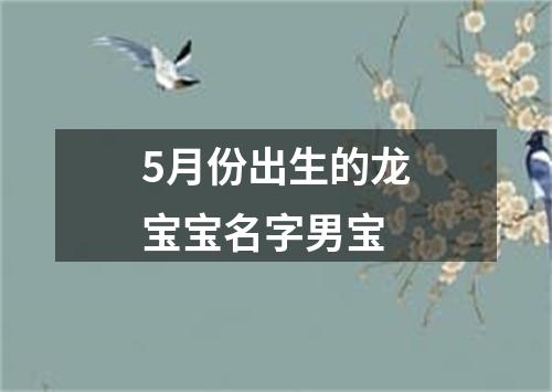 5月份出生的龙宝宝名字男宝