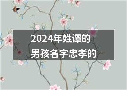 2024年姓谭的男孩名字忠孝的