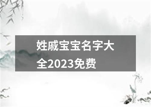 姓戚宝宝名字大全2023免费