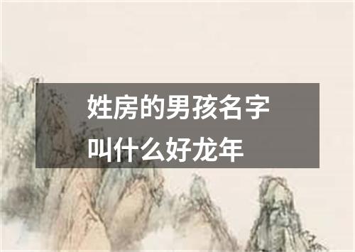 姓房的男孩名字叫什么好龙年