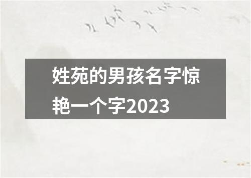 姓苑的男孩名字惊艳一个字2023