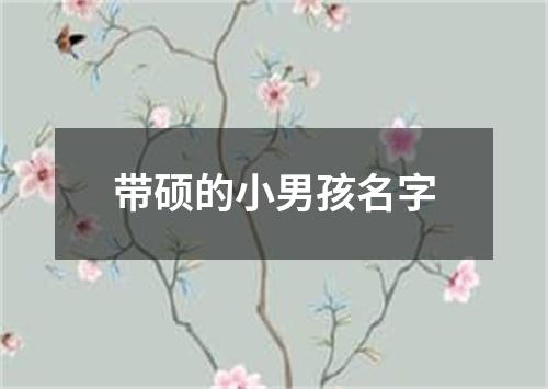 带硕的小男孩名字