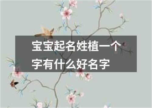 宝宝起名姓植一个字有什么好名字