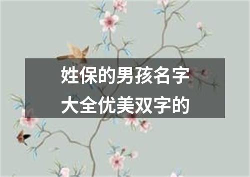 姓保的男孩名字大全优美双字的