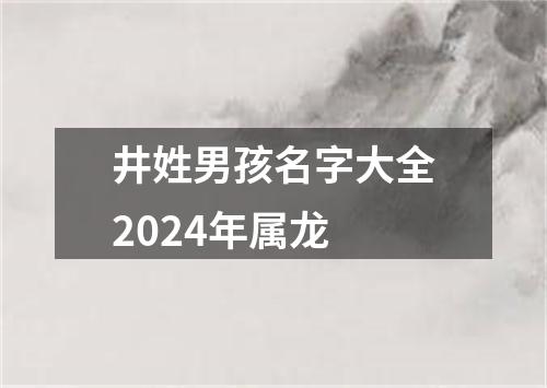 井姓男孩名字大全2024年属龙