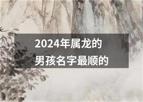 2024年属龙的男孩名字最顺的