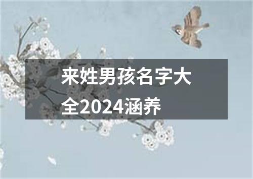 来姓男孩名字大全2024涵养