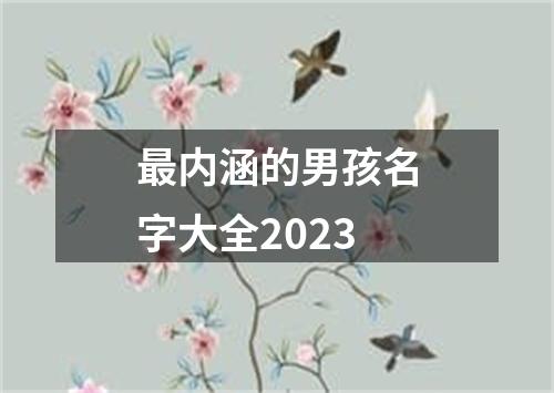 最内涵的男孩名字大全2023