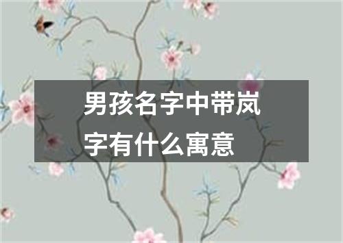 男孩名字中带岚字有什么寓意