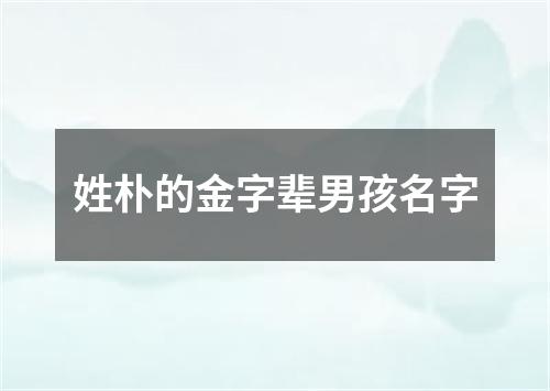 姓朴的金字辈男孩名字