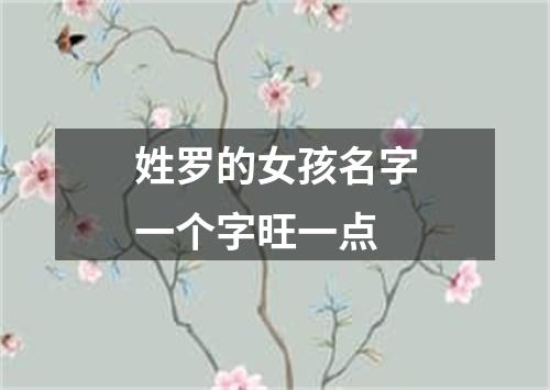 姓罗的女孩名字一个字旺一点