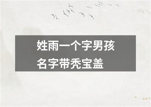 姓雨一个字男孩名字带秃宝盖