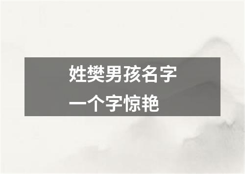 姓樊男孩名字一个字惊艳