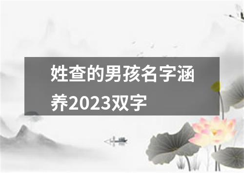 姓查的男孩名字涵养2023双字