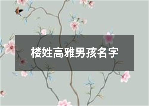 楼姓高雅男孩名字